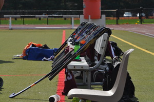 Story vcsticksfh2013dsc 0118