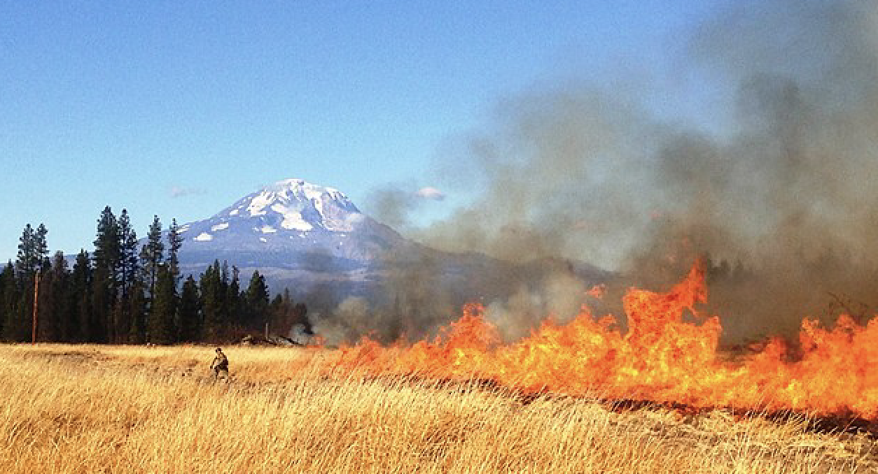 Wild Fire with Mountain in the distance: Courtesy of U.S. Fish and Wildlife Service
