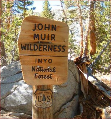 Successes of writing