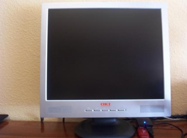 Primer monitor plano