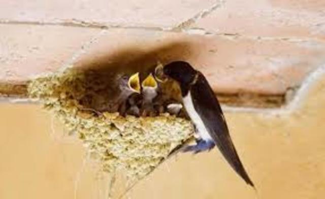 12η συνάντηση περιβαλλοντικής