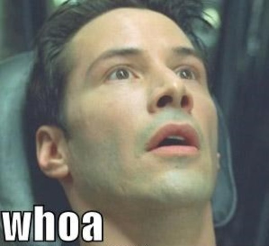 the day i realized my phone background can be a swimming fish