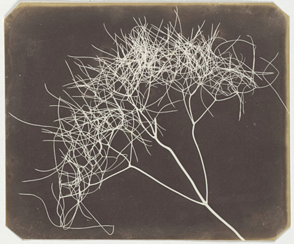 William Henry Fox Talbot