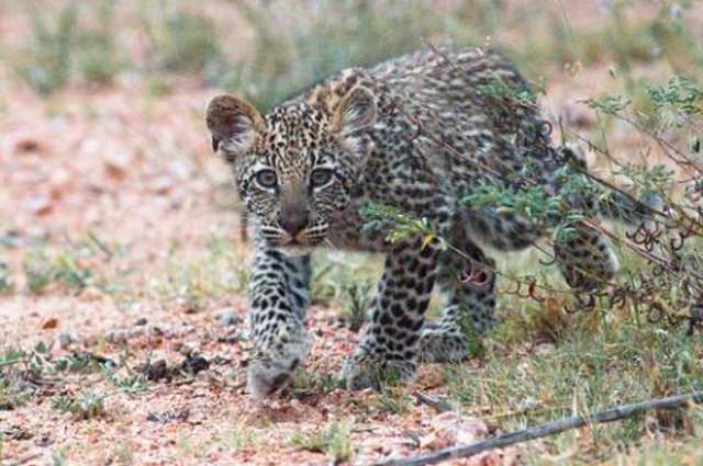 The Year Of High School