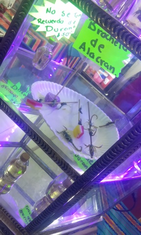 Brocheta de Alacrán