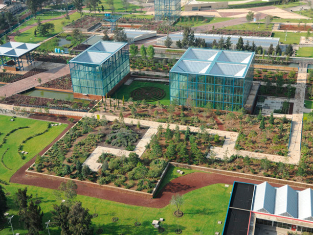 7 de noviembre del 2010