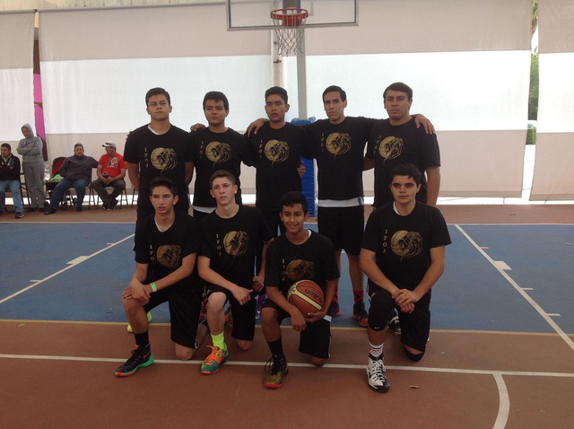 competencia nacional ANEPPI