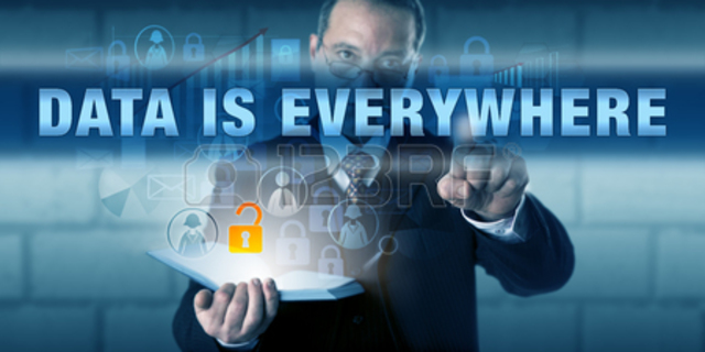 DATOS EN TODAS PARTES 2010