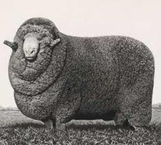 John and Elizabeth Macarthur