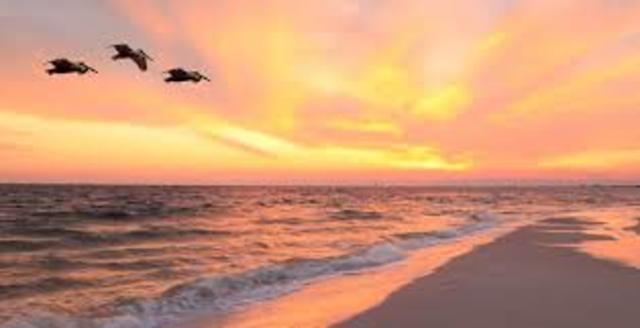 Farmer Moves to Brooksville