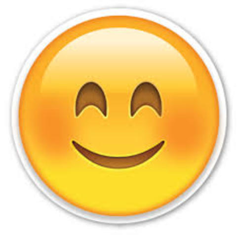 Passing my permit test