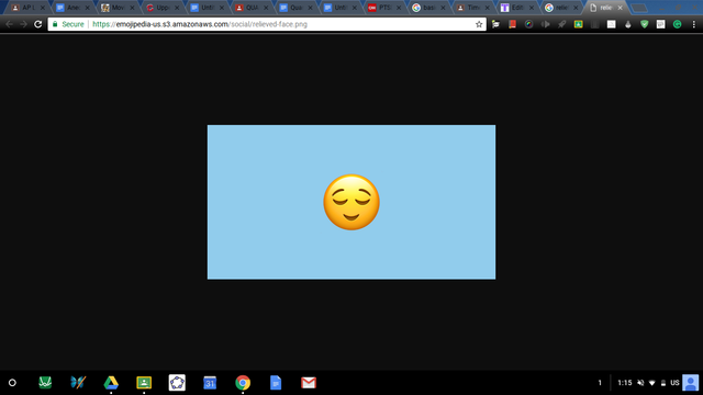 Received Scholarship to Dickinson