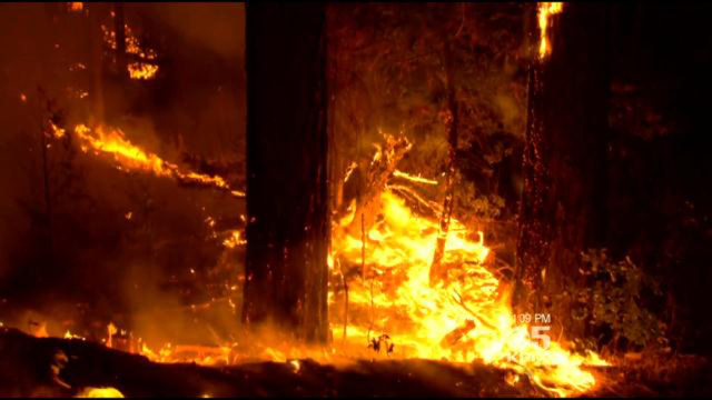 Wildfire Starts - Stanislaus National Forest