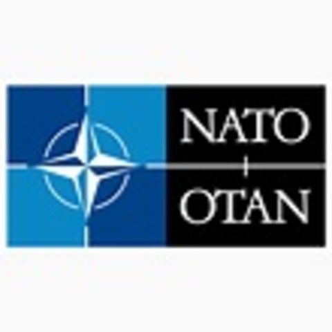 North Atlantic Treaty Organization (NATO)