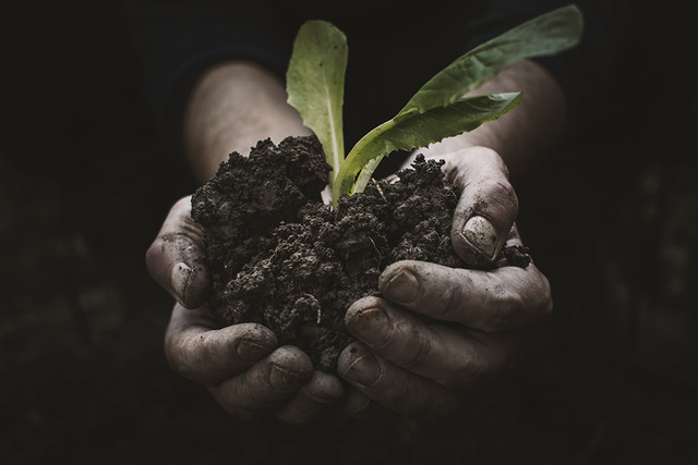 Environmental Protection Agency (EPA)