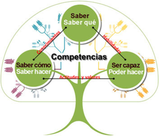 Educación Basada en Competencias