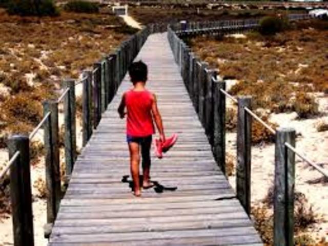 Clark L. Hull - Teoría del Impulso