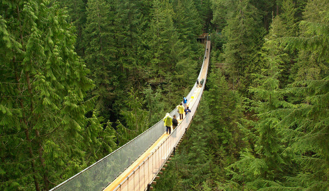 Capilano Suspension Bridge 10 PM