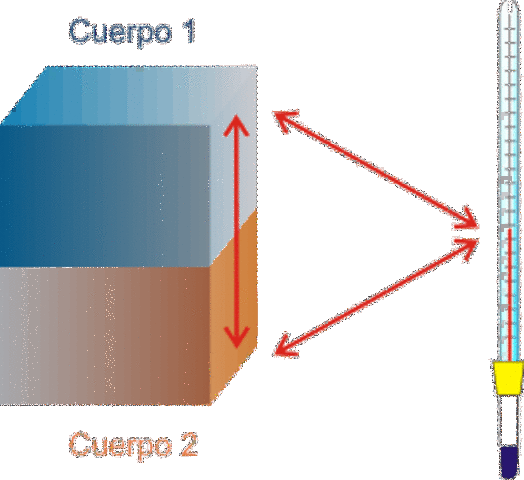 Louis Dulong y Alexis Petit (Franceses)
