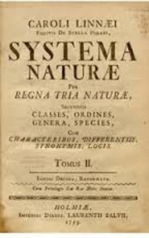 Un Nuevo Sistema de Nombres