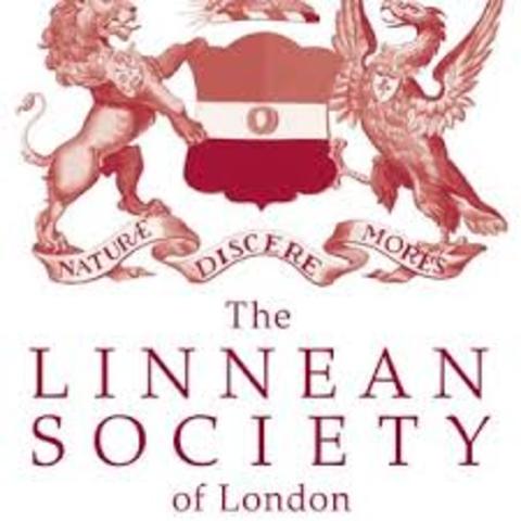 Competencia por la Evolución