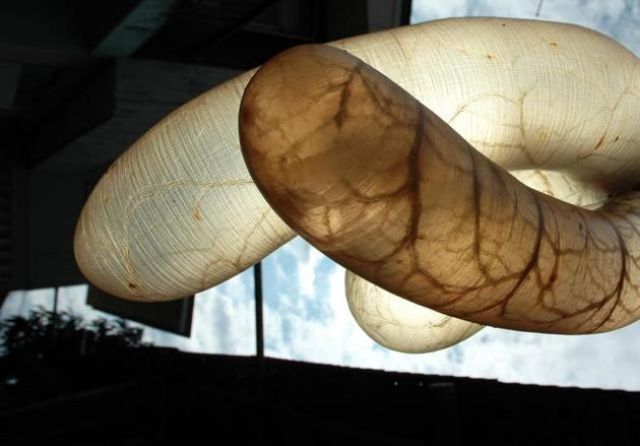 Condón poco convencional