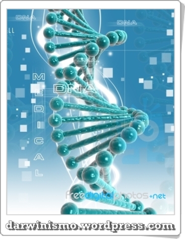 Teoria da evolução molecular