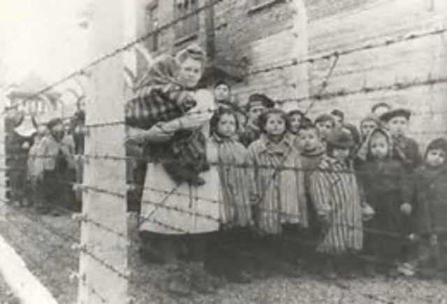 Auschwitz Liberated