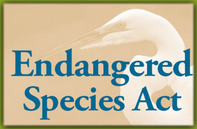 The Endangered Species Act