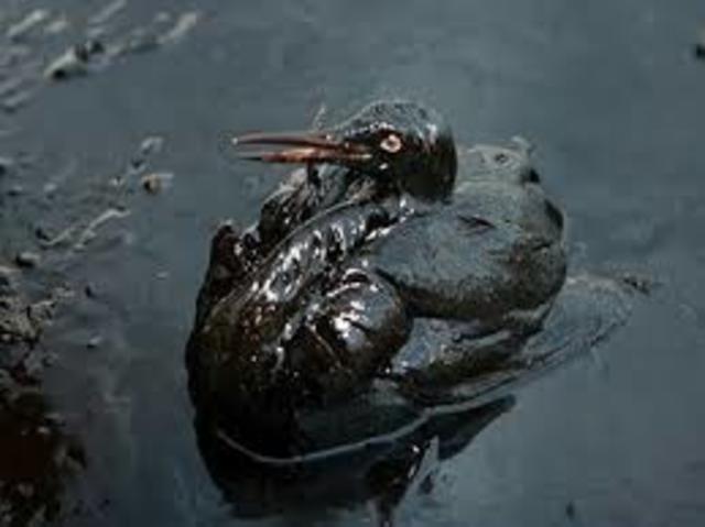 Largest Oil Spill in American History March 24, 1989