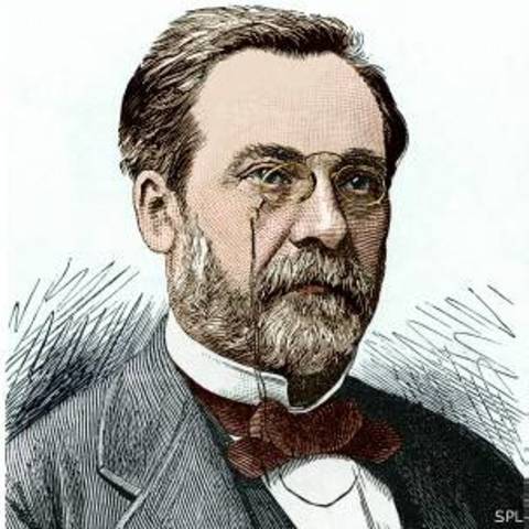 los experimentos de pasteur