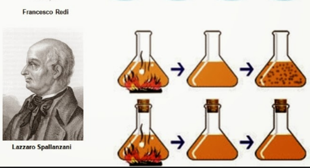 2. Descarte de la Generación Espontanea