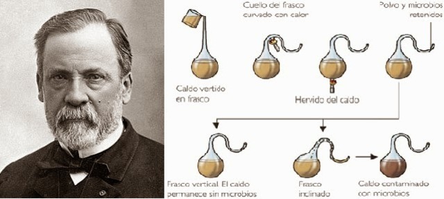 3.Descarte de la Generación Espontanea.