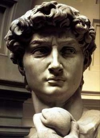Michelangelo starts The David