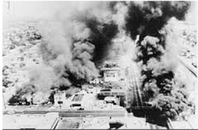 watts riot