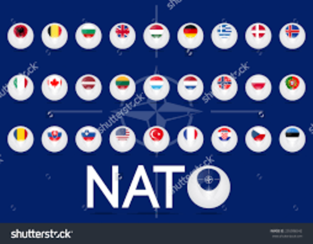 North Atlantic Treaty Organization (NATO)