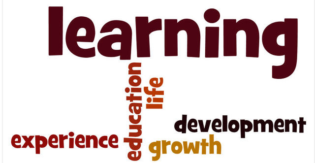 Mason, Pegler y Weller (2005)