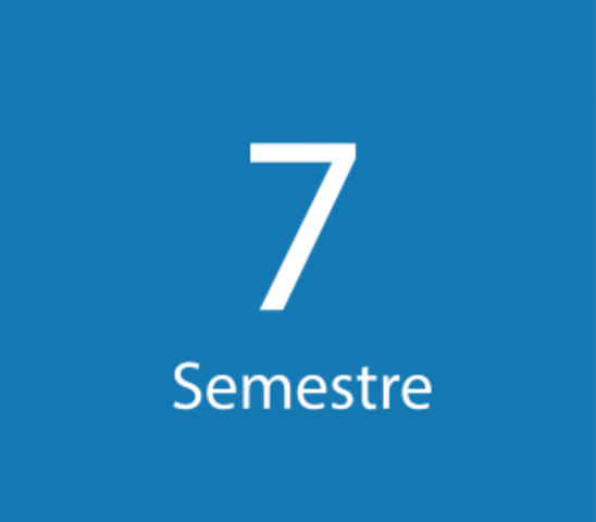 Inicio séptimo semestre y certificada en portugués