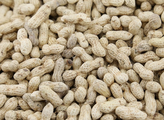 Imported Peanuts