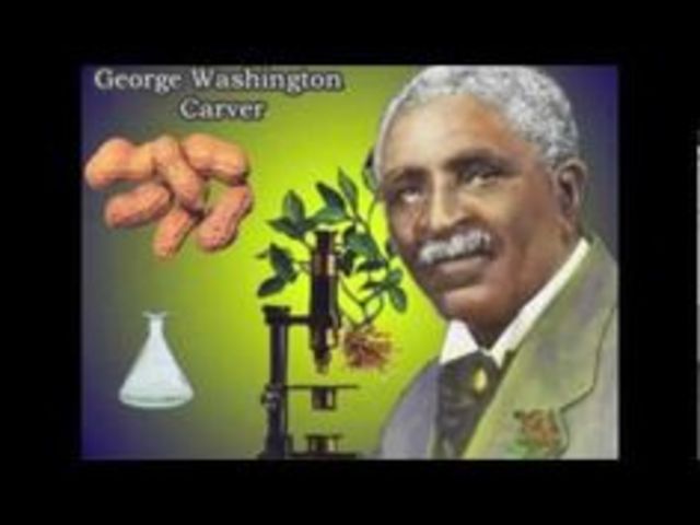 Discovery Of Peanuts