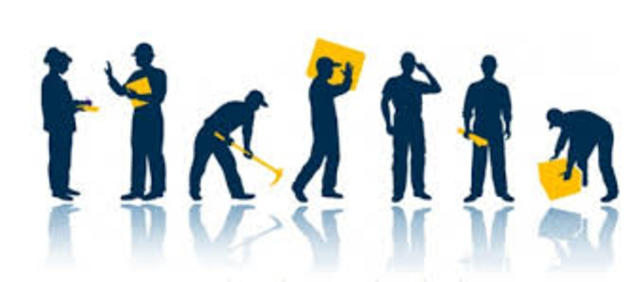 Decreto 1843 de 1991