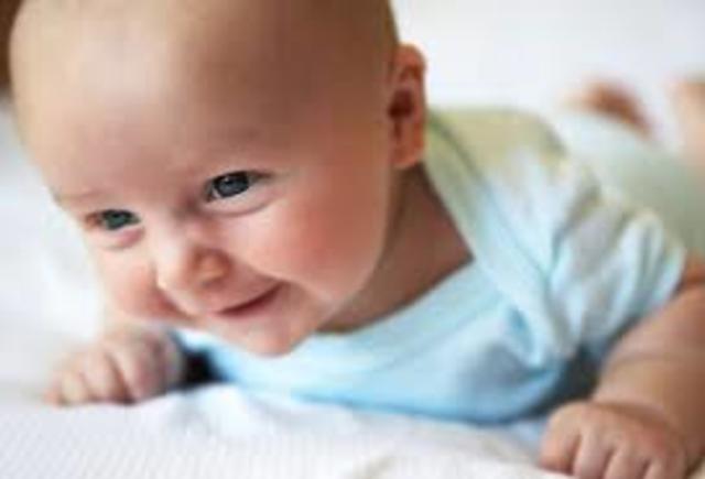 Can hold head up and begins to push up when lying on tummy