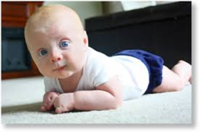 Can hold up head and begins to push up when lying on tummy