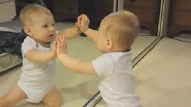 Likes to look at self in mirror