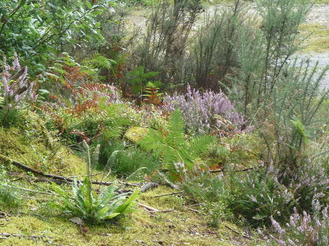 Pioneer Stage - 1 to 5 years