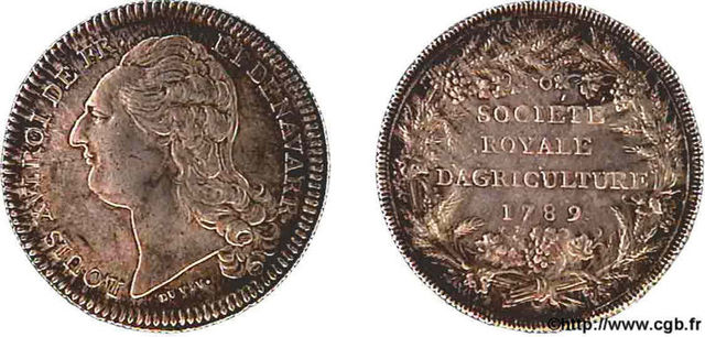 Le roi en fuite est rattrapé à Varennes