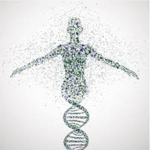 Human Genome Project
