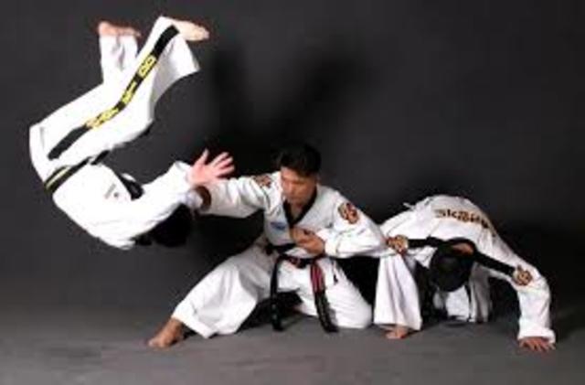 hapkido