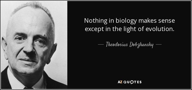 Theodosius Dobzhansky