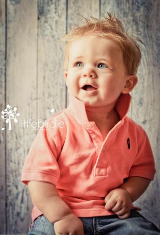 Language/Communcation